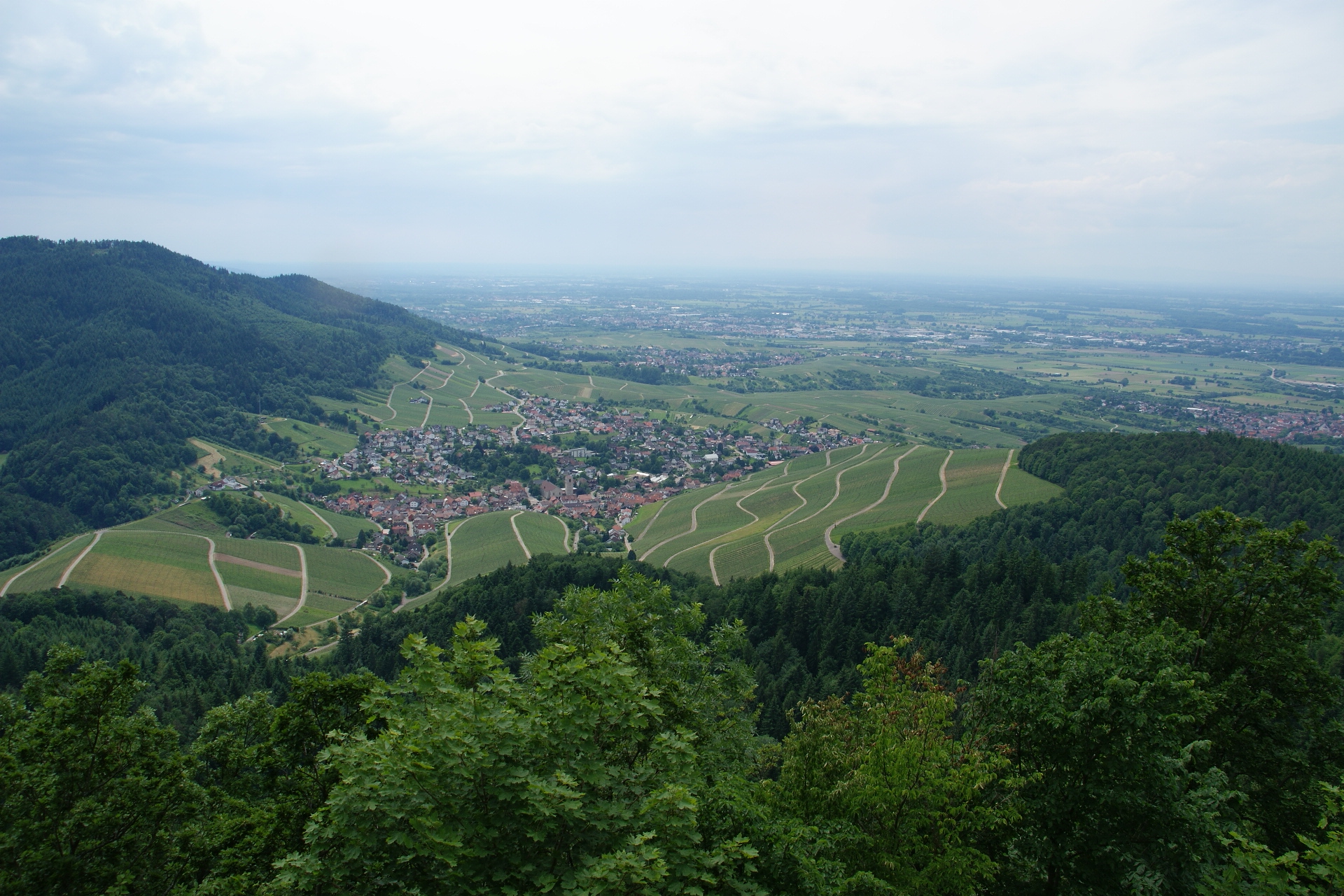 Weinberge am Hang mit Blick auf ein Dorf und die Ebene