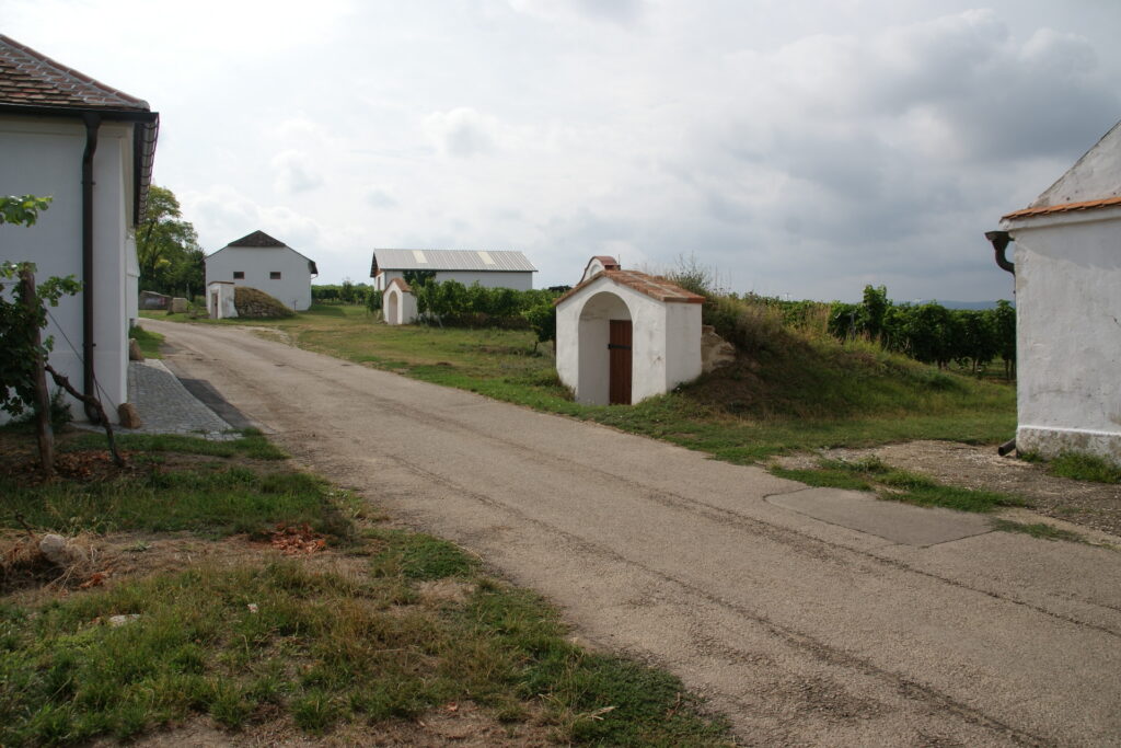 Feldweg zwischen Weinbergen mit kleinen Weinberghäuschen
